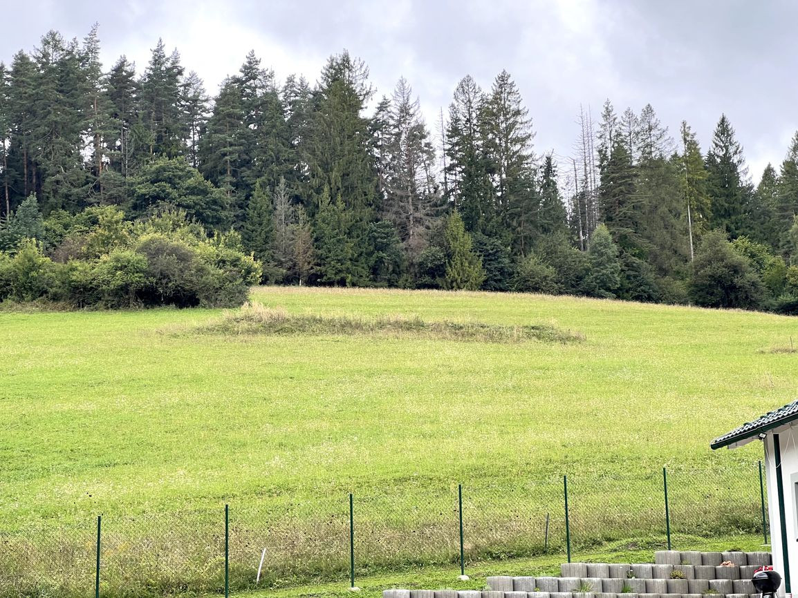 Predaj | Investičný pozemok, Snežnica