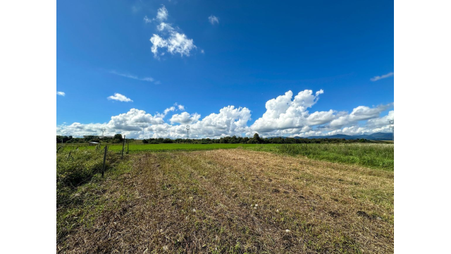 Predaj | Rovinatý pozemok s výhľadom, Blatnica