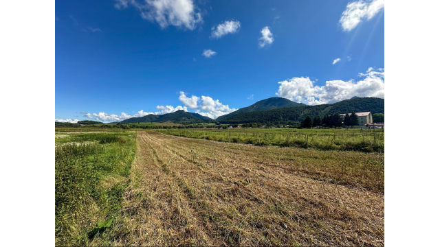 Predaj | Rovinatý pozemok s výhľadom, Blatnica