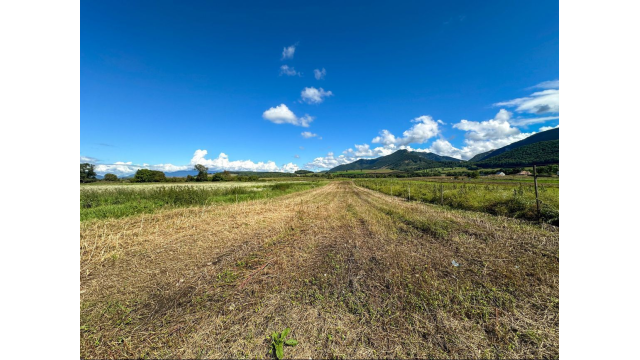 Predaj | Rovinatý pozemok s výhľadom, Blatnica