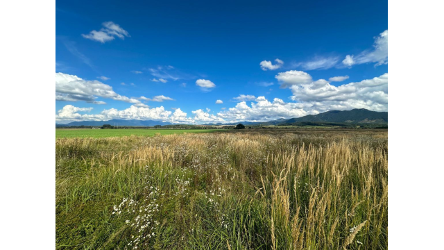 Predaj | Slnečný pozemok s výhľadom, Karlová