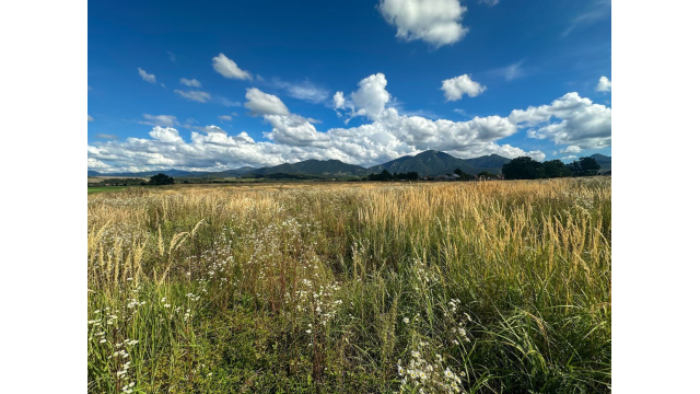 Predaj | Slnečný pozemok s výhľadom, Karlová