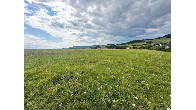 Predaj | Slnečný pozemok v Ovčiarsku