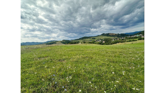 Predaj | Slnečný pozemok v Ovčiarsku