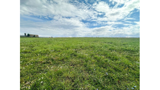 Predaj | Slnečný pozemok v Ovčiarsku