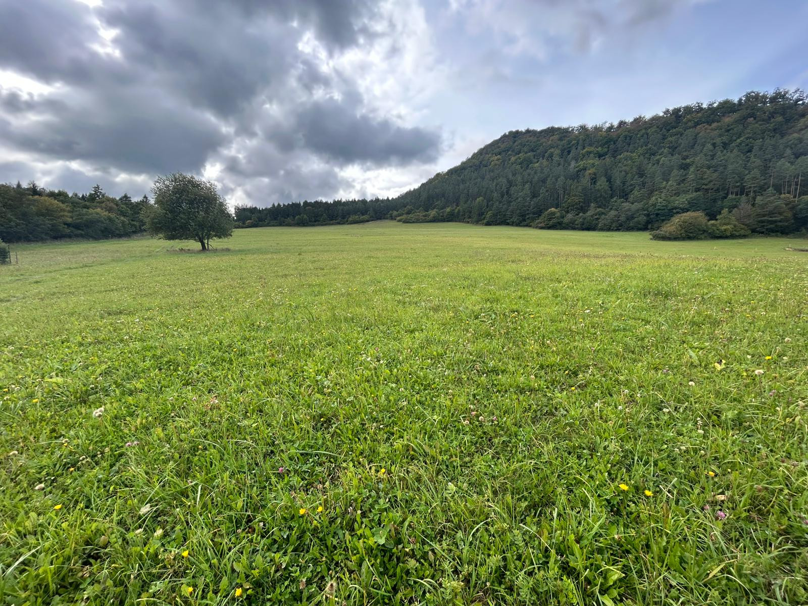 Predaj | Slnečný investičný pozemok v Snežnici