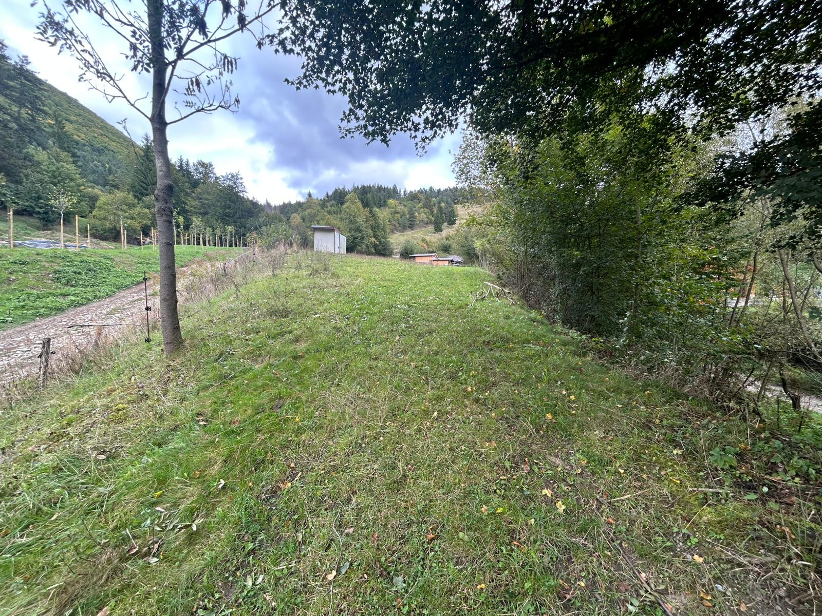 Predaj | Slnečný investičný pozemok v Snežnici.