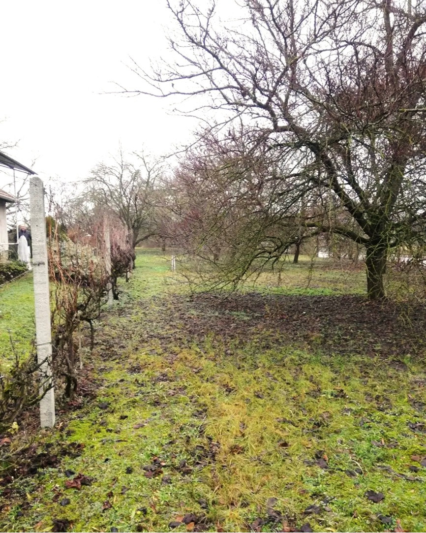 NA PREDAJ – 3i, 150 m2, pozemok 1 239 m2, obec Moča, okr. Komárno.