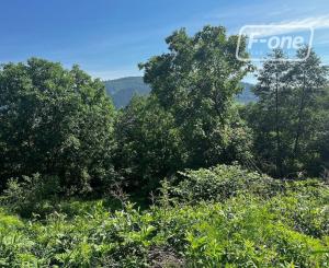 Predaj | Rekreačný pozemok v Strážove