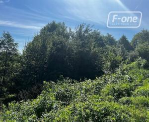 Predaj | Rekreačný pozemok v Strážove