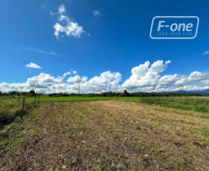 Predaj | Rovinatý pozemok s výhľadom, Blatnica