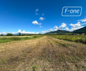 Predaj | Rovinatý pozemok s výhľadom, Blatnica