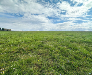 Predaj | Slnečný pozemok v Ovčiarsku