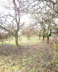NA PREDAJ – 3i, 150 m2, pozemok 1 239 m2, obec Moča, okr. Komárno.