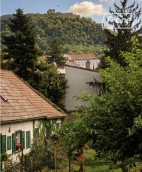POZEMOK S EXISTUJÚCIMI STAVBAMI V CENTRE HAINBURGU