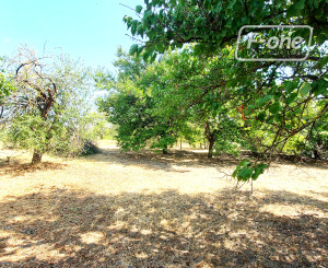 NA PREDAJ – 3i, 150 m2, poz. 1 239 m2, Moča, okr. Komárno.