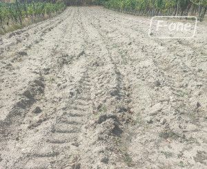 NA PREDAJ -  vinohrad, 870 m2 v lukratívnej lokalite – Svätý Jur (k. ú. Pezinok)