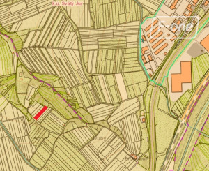 NA PREDAJ -  vinohrad, 870 m2 v lukratívnej lokalite – Svätý Jur (k. ú. Pezinok)