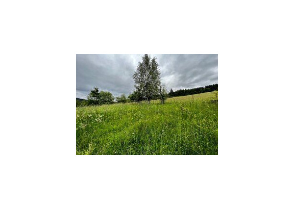 Predaj | Dvojgeneračný rodinný dom, Klokočov 