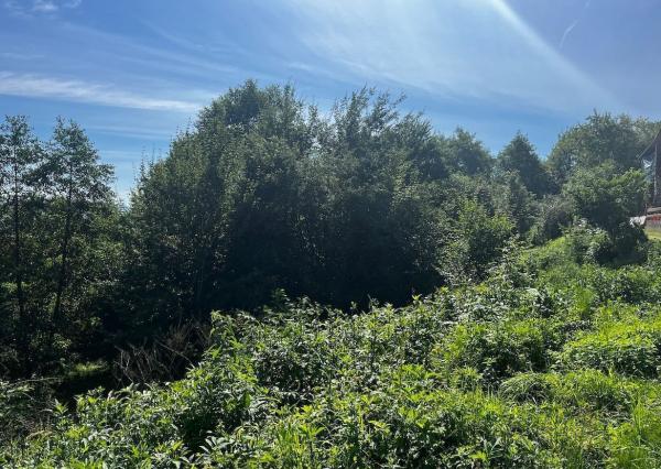 Predaj | Rekreačný pozemok v Strážove