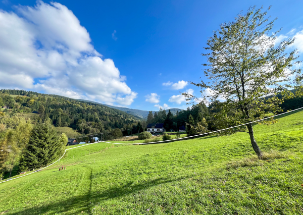 Predaj | Slnečný pozemok 4 912 m² – Zázrivá, Hotel Havrania