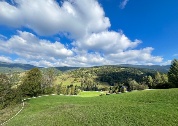 Predaj | Slnečný pozemok 4 912 m² – Zázrivá, Hotel Havrania