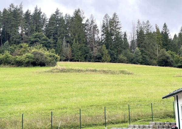 Predaj | Investičný pozemok, Snežnica