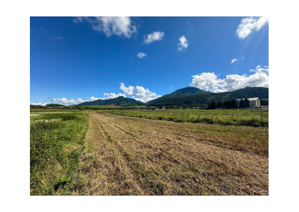 Predaj | Rovinatý pozemok s výhľadom, Blatnica