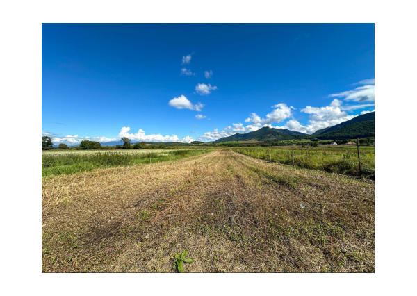 Predaj | Rovinatý pozemok s výhľadom, Blatnica