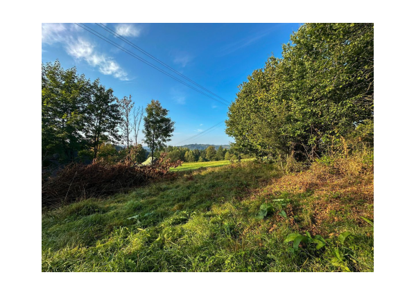 Predaj | Rovinatý pozemok v tichej lokalite, Staškov