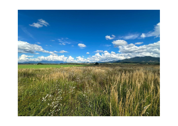 Predaj | Slnečný pozemok s výhľadom, Karlová