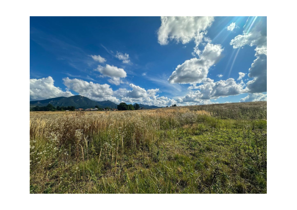 Predaj | Slnečný pozemok s výhľadom, Karlová