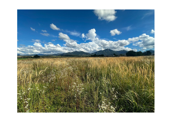 Predaj | Slnečný pozemok s výhľadom, Karlová