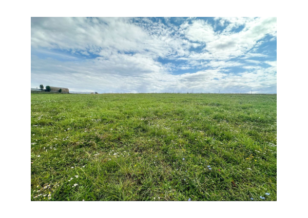 Predaj | Slnečný pozemok v Ovčiarsku