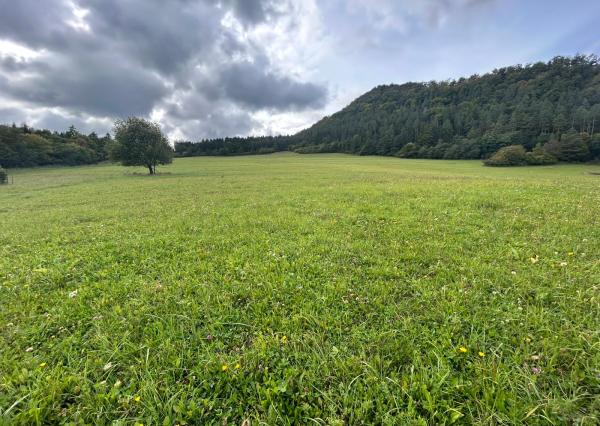 Predaj | Slnečný investičný pozemok v Snežnici