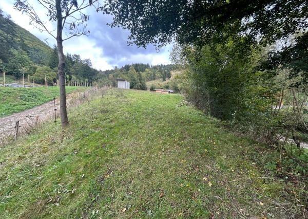 Predaj | Slnečný investičný pozemok v Snežnici.