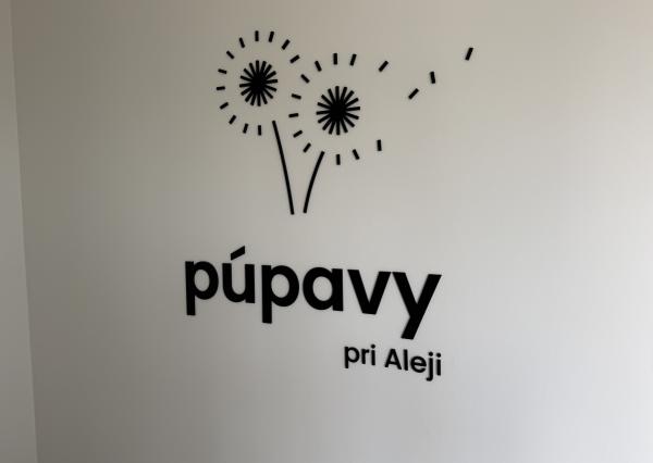 Prenájom 2 izbový byt - Trnava, Generála Goliána