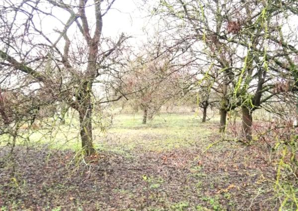 NA PREDAJ – 3i, 150 m2, pozemok 1 239 m2, obec Moča, okr. Komárno.