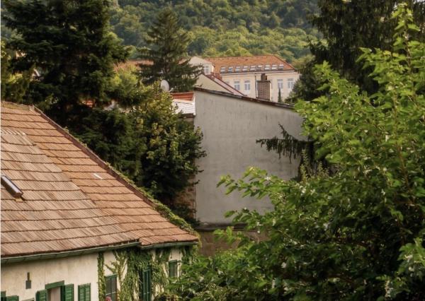 POZEMOK S EXISTUJÚCIMI STAVBAMI V CENTRE HAINBURGU