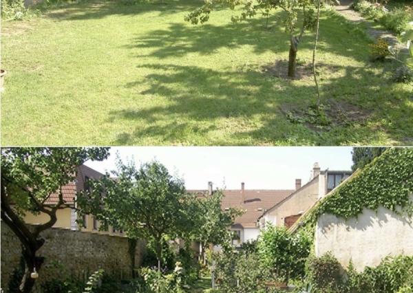 POZEMOK S EXISTUJÚCIMI STAVBAMI V CENTRE HAINBURGU