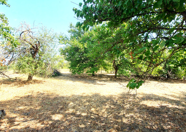 NA PREDAJ – 3i, 150 m2, poz. 1 239 m2, Moča, okr. Komárno.