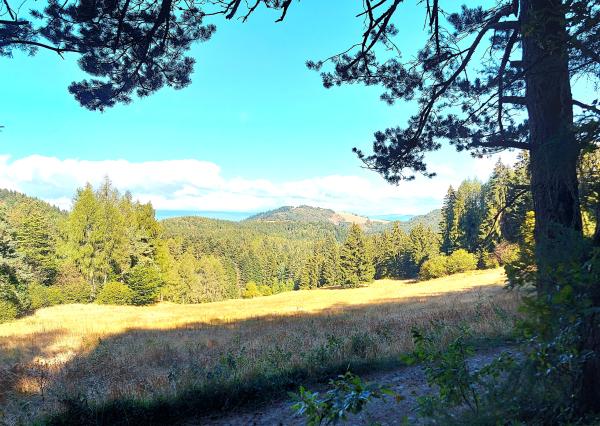 EXKLUZÍVNE, PREDAJ - 6i RD, UP 200 m2, pozemok 1742 m2, Banská Štiavnica.