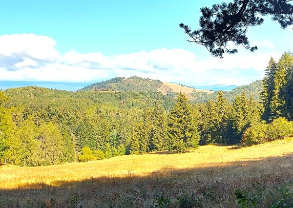EXKLUZÍVNE, PREDAJ - 6i RD, UP 200 m2, pozemok 1742 m2, Banská Štiavnica.