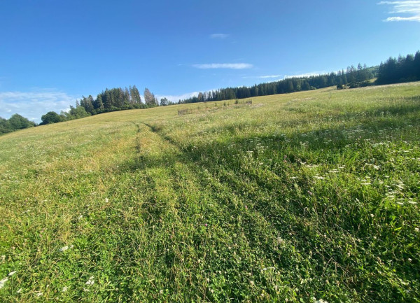 Predaj | pozemok v Snežnici