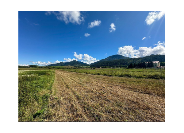 Predaj | Rovinatý pozemok s výhľadom, Blatnica