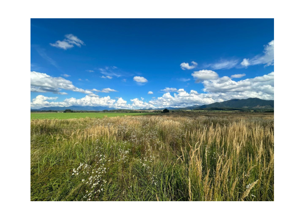 Predaj | Slnečný pozemok s výhľadom, Karlová