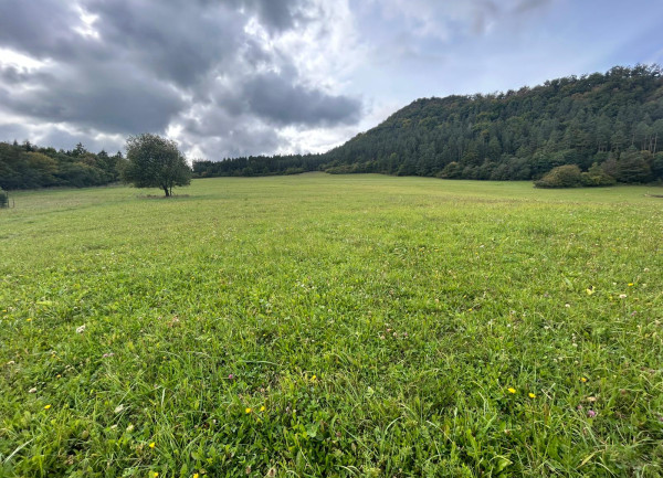 Predaj | Slnečný investičný pozemok v Snežnici