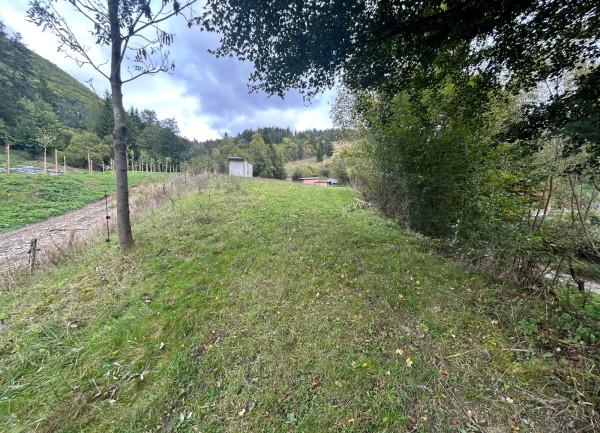 Predaj | Slnečný investičný pozemok v Snežnici.